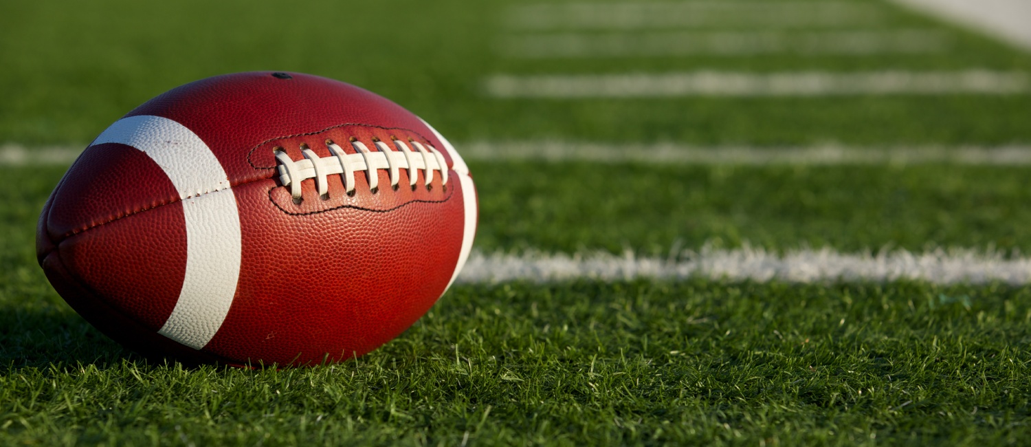 Ford Field: Home of the Detroit Lions & Premier Concerts